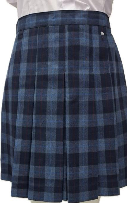 Falda Escuela Presidente Balmaceda