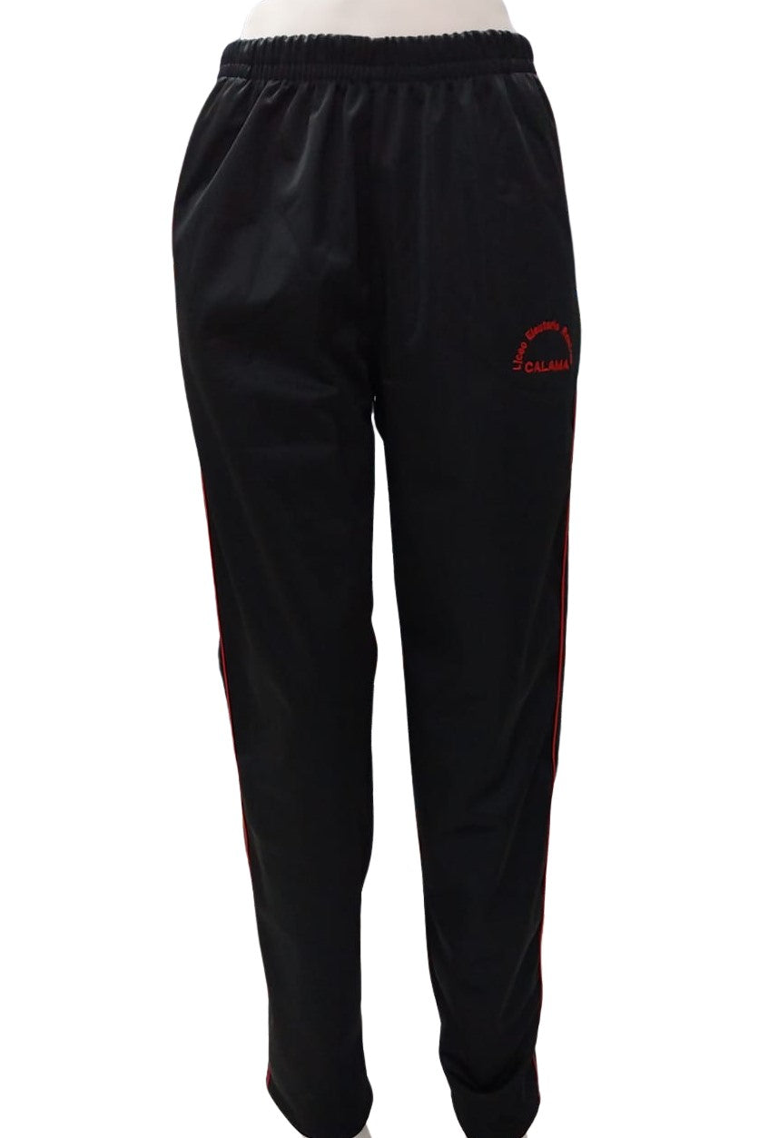 Pantalón de Buzo Liceo Eleuterio Ramírez