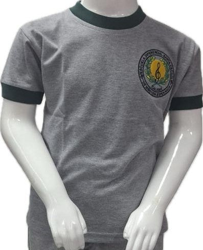 Polera Deportiva Manga Corta Verde Unisex Colegio Santa Cecilia